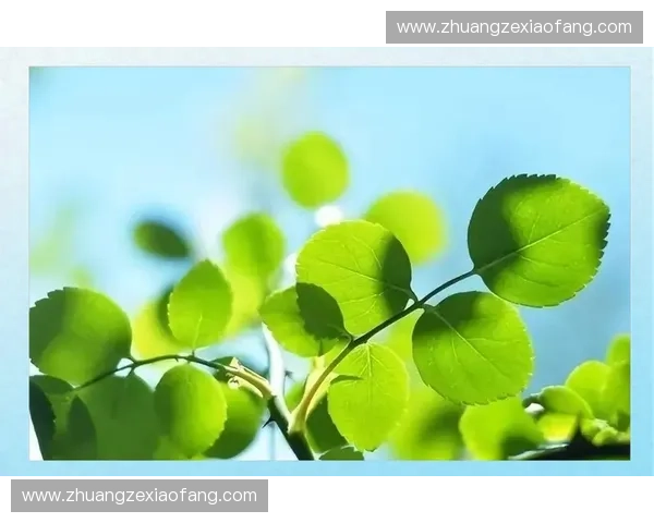 在绝境中寻找突破口最终完成逆转局面的关键博弈与人性觉醒之路
