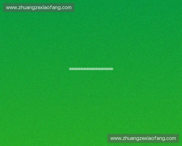 运动摄影视角下的瞬间力量与速度美学探索与实践理论与应用研究